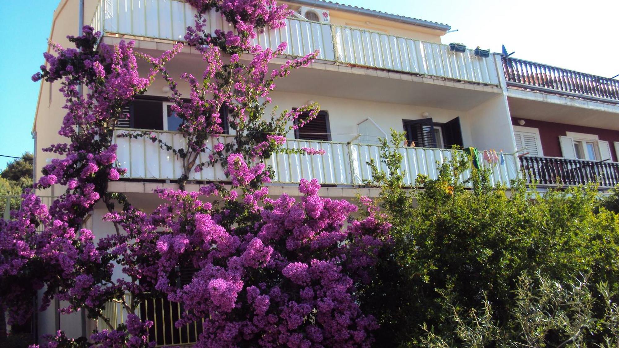 Apartments Green & Orange Hvar Town Dış mekan fotoğraf