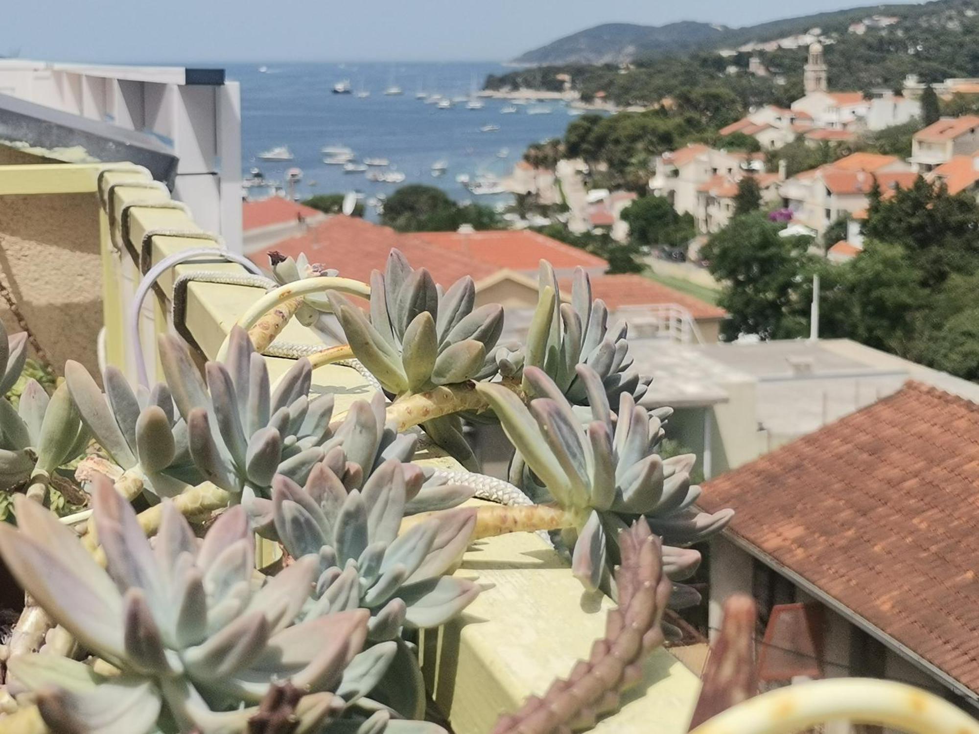 Apartments Green & Orange Hvar Town Dış mekan fotoğraf